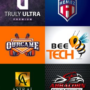 Logo Reveal – Outro & Intro