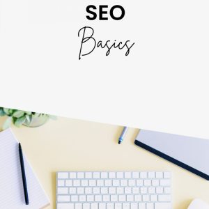 SEO BASIC PACKAGE (Per Month)