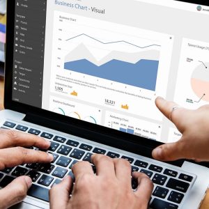 SEO PROFESSIONAL PACKAGE (Per Month)