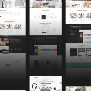 Paid Search Plan