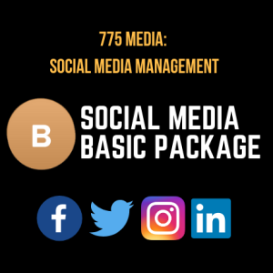 SOCIAL MEDIA BASIC PACKAGE (PER MONTH)