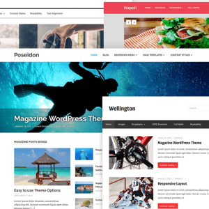 WordPress Website Development Package